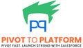Pivottoplatform Store
